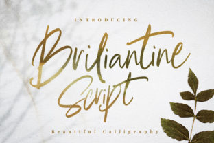 Briliantine Script: The Elegant Calligraphy Font for Modern Design