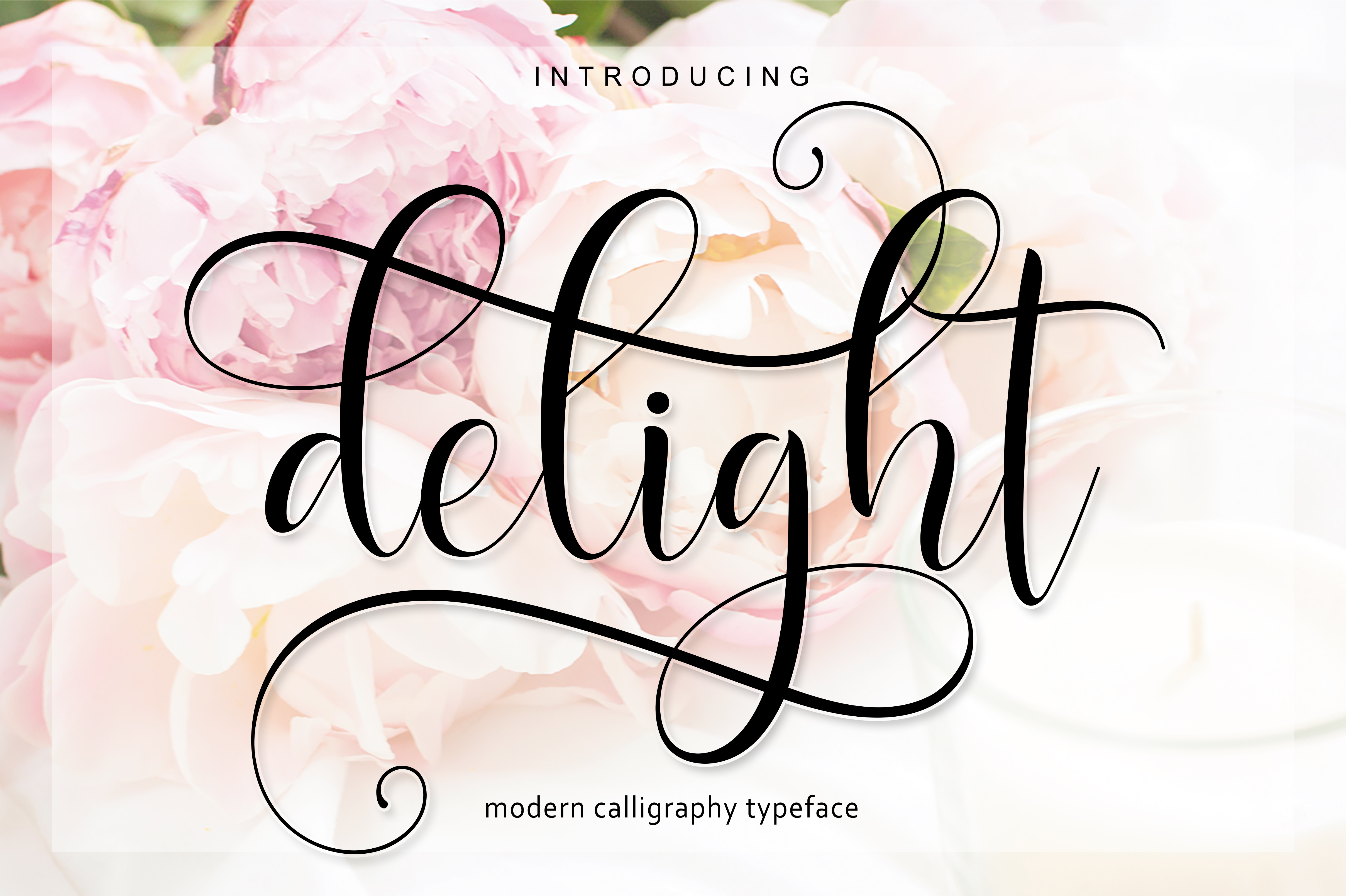 Delight Script: A Font That Elevates Design