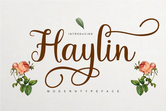 Haylin Script: A Delicate and Elegant Font for Designers