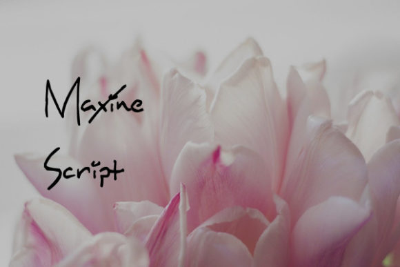 Maxine Script